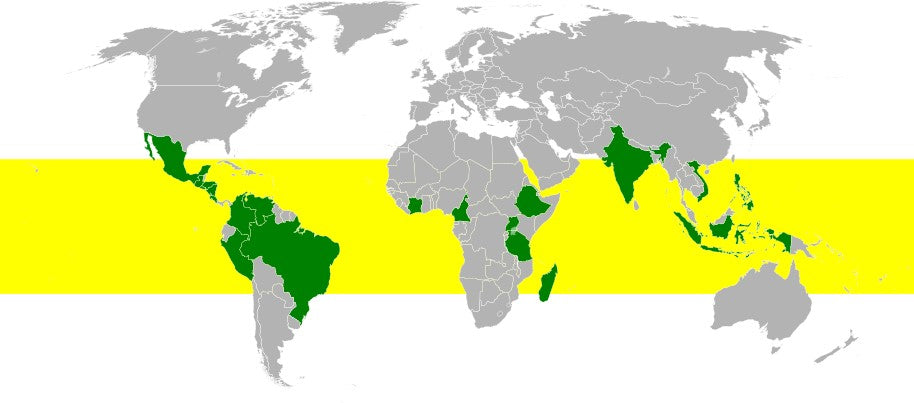 Biggest coffee growing countries